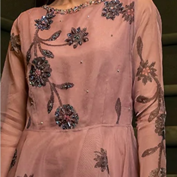 Pakistani embellished light pink organza body-cut dress - Picture 3 of 5